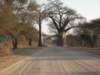 enroutenorthofchobenationalparkbotswana_small.jpg