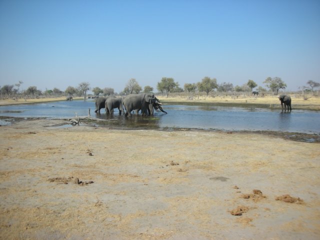 khwairiverokavangodeltabotswana8.jpg