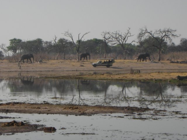 khwairiverokavangodeltabotswanaonlyafterthelionwalkedawayanothervehiclecame.jpg