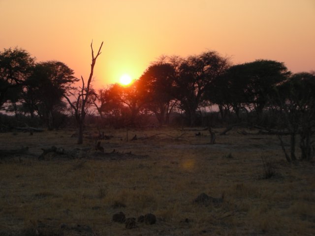 sunriseatthekhwairiverariverinthenorthernpartoftheokavangodeltabotswana.jpg