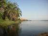 earlymorningafewkmnorthofaswan_small.jpg
