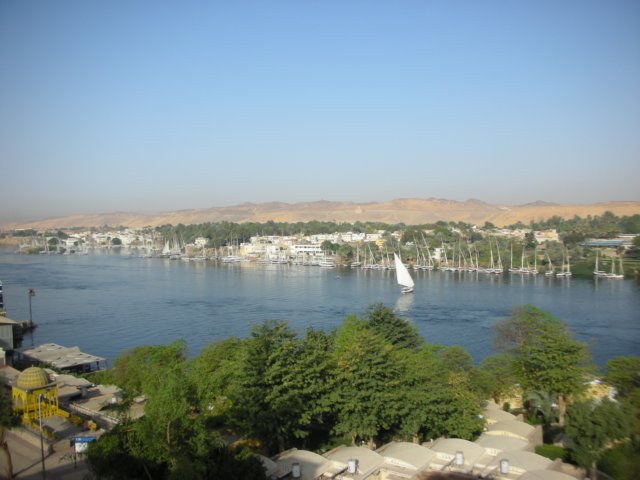 nileinaswan2.jpg