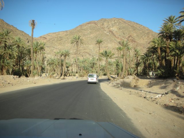 sinaimountainshavesomeoasisthisiswadifeiranonthewaytostkatherinesmonestary.jpg