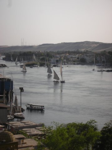 thenileinaswan.jpg