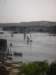 thenileinaswan_small.jpg