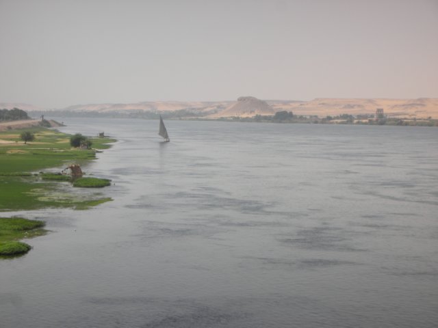 thenilejustbeforeaswanthedesertreachesalmosttotheriver.jpg