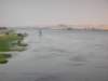 thenilejustbeforeaswanthedesertreachesalmosttotheriver_small.jpg