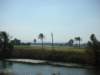 wedrovefromtheredseacoasttothenileinqenathenileisthewatervisibleintherear_small.jpg