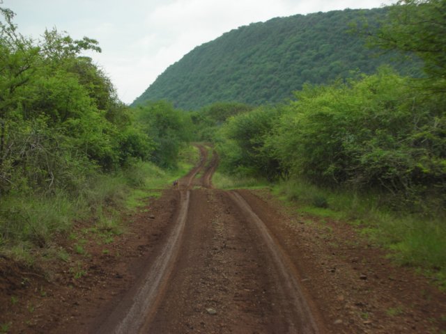 nechisarnationalparksouthernethiopiaitwasnoteasytospotanimalsinthebushypart.jpg