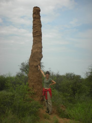 termitemoundchimneybetweenturmiandomoratesouthethiopia.jpg