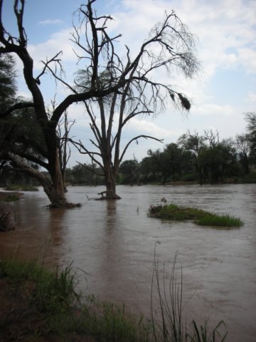 ewasongirorivernearsamburunationalreserve.jpg