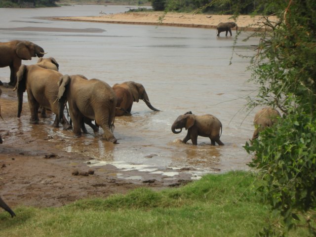ewasongiroriversamburunationalreservenorthernkenya.jpg