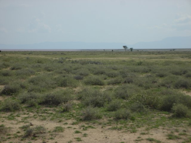 ourfirstviewinkenyalaketurkanaisvisibleinthedistanceandtherearenopeopleunlikeethiopia.jpg