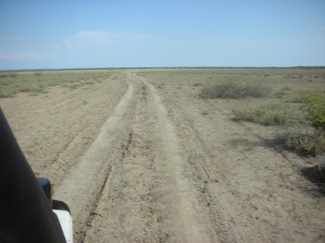 thelandscapegotdryeraswecontinuedsouthalonglaketurkana.jpg