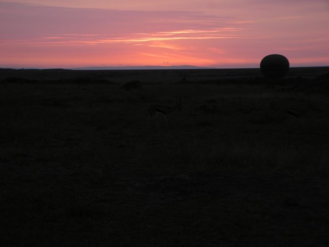 atsunriseseveralballoonsafaristakeoffinthemasaimaranationalreservekenya.jpg