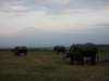 kilimanjarofromamboselinationalparkkenya_small.jpg