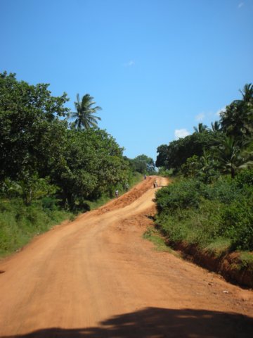 typicalroadinkenyaredsoilandalotofvegetation.jpg