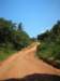 typicalroadinkenyaredsoilandalotofvegetation_small.jpg
