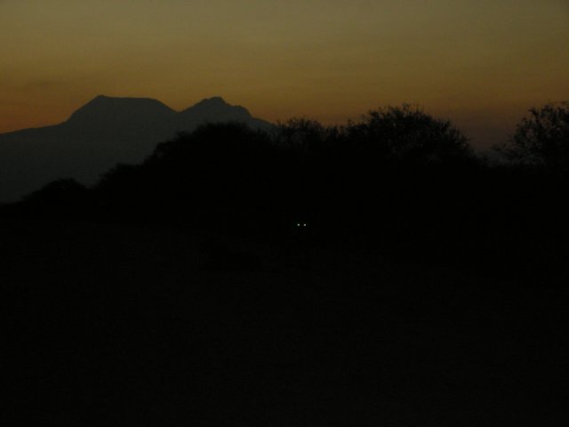 Whose are those eyes reflecting in the camera's flash??  (see below) whosearethoseeyesreflectinginthecamerasflashseebelow.jpg