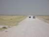 asallovernamibiatheroadsinetoshanationalparkarealsoverygood_small.jpg