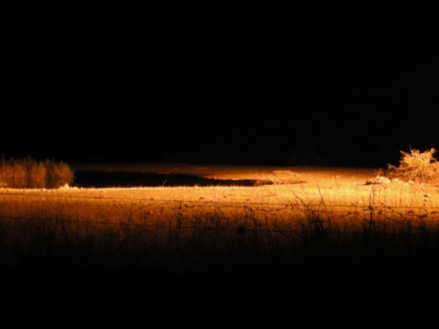 ethoshanationalparkisknownforitsmanywaterholesofwhichsomeareatthelodgesandcampsitessotheycanbeseen24hours.jpg
