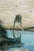 ethoshanationalparknamibia_small.jpg