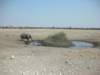 everyonehashistechnicfordrinkingethoshanationalparknamibia_small.jpg