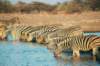 intheeveningwedidnotseemuchactionbutinthemorningmanyzebrascamenamutonirestcampetoshanationalparknamibia_small.jpg