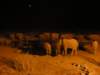 itwaswonderfulsittingatthewaterholeandhavingtheshowofthethirstyanimalspassingbyethoshanationalparknamibia_small.jpg