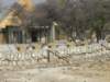 okaukuejorestcampwithitsbenchesforviewingthewaterholeethoshanationalparknamibia_small.jpg