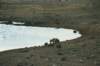 thefirstwaterholewevisitedinetoshanationalparknamibiaguesswhatwesaw_small.jpg