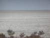 thegreatwhiteplaceofdrywaterisetoshathenationalparkincludesandsurroundsthissaltpanofabout6000squarekm_small.jpg