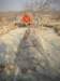 thelongestpetrifiedtreetrunksaresome34mmakingthemthesecondlargestintheworldthelargestareinthewestoftheusa_small.jpg