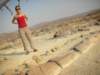 thenowpetrifiedtreesgrewaround260millionyearsagowhenafricawaspartofthecontinentgondwanaland_small.jpg