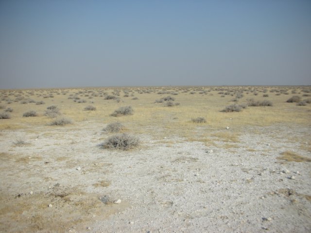 typicallandscapeofethoshanationalparknamibia.jpg