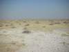 typicallandscapeofethoshanationalparknamibia_small.jpg