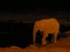 waterholeathalalirestcampethoshanationalparknamibia_small.jpg