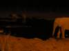 wefeltpriviledgedseeingseveralwhiterhinoscomingtodrinkathalaliwaterholeethoshanationalparknamibia_small.jpg