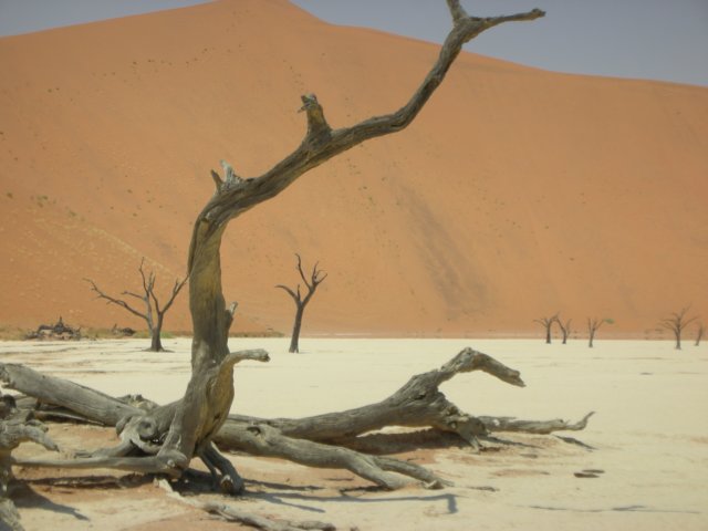 deadvleinamibia2.jpg