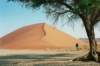 dune45itis150mhighandverylong_small.jpg
