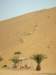 dune7attractsmanyvisitorsrunningjumpingdownthedunebeingapopularthingtodo_small.jpg