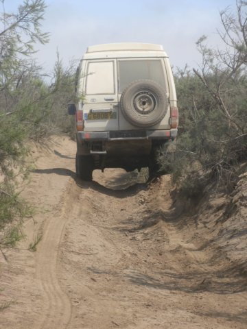 insearchofacampspotsouthofwalvisbaynamibia.jpg