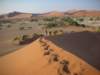 inthemorningall4ofusclimbedthedunesatsossusvleinamibia_small.jpg