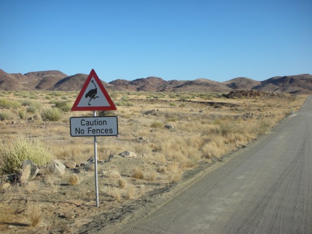 namibianroadsignscanbeentertainingthereareversionswithkuduspringbokzebraandostrich.jpg