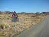 namibianroadsignscanbeentertainingthereareversionswithkuduspringbokzebraandostrich_small.jpg