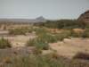 namibiaslandscapeisquitediverse_small.jpg