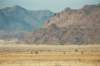 namibrandnaturereserveisthelargestprivatelyownedpropertyinsouthernafricaitis200000hectares_small.jpg