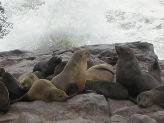 theatlanticoceanbringsbigwavescapecrossnamibia.jpg