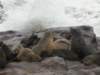 theatlanticoceanbringsbigwavescapecrossnamibia_small.jpg