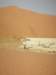 thedunebehinddeadvleiis220mhigh_small.jpg